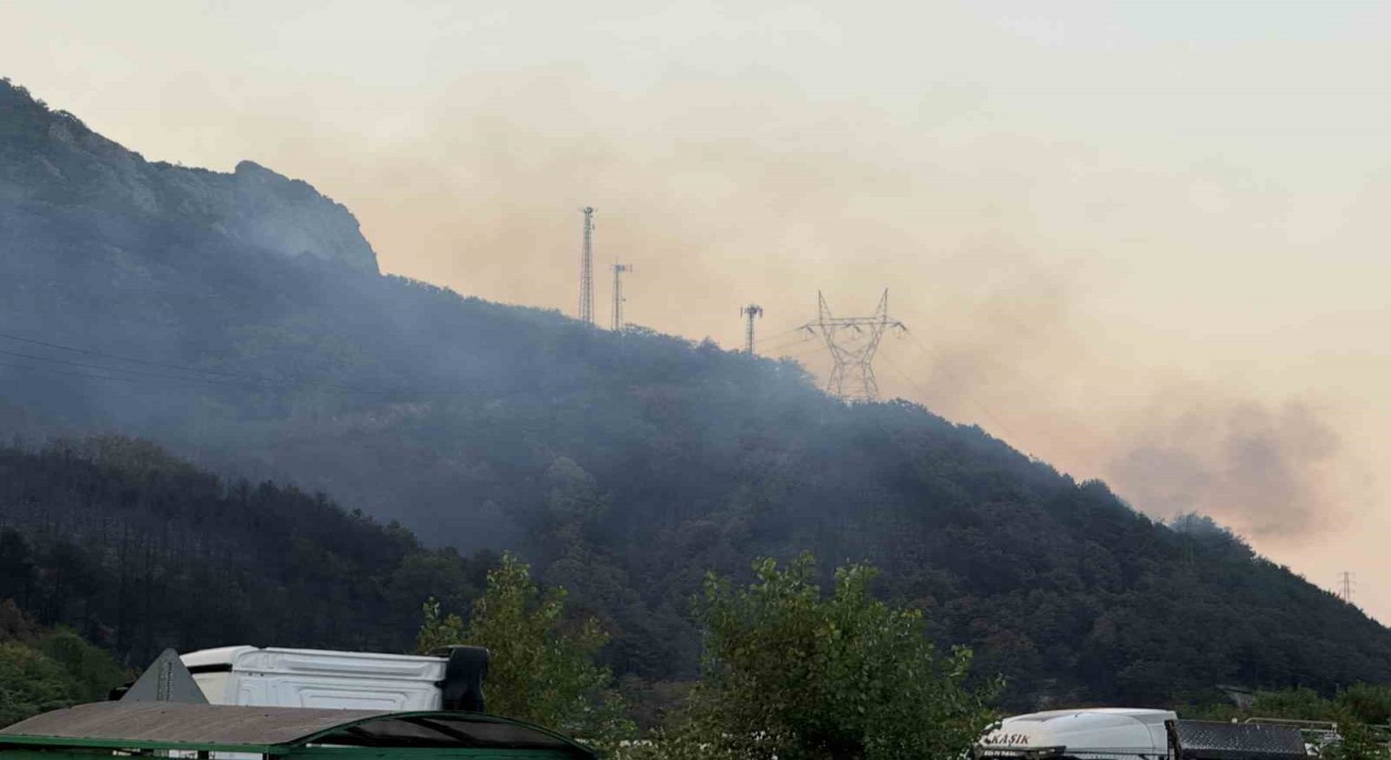 Sakaryadaki orman yangını kısmen kontrol altına alındı