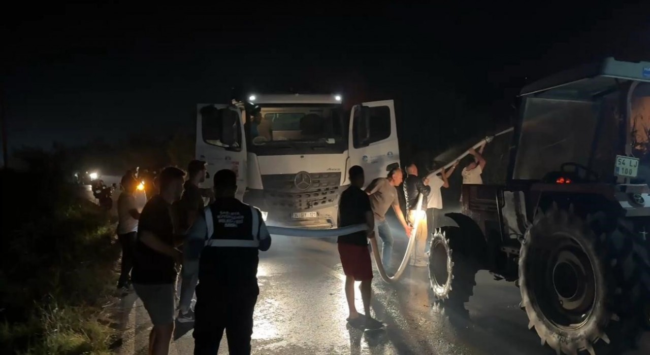 Sakaryadaki orman yangını tarım arazilerine sıçradı