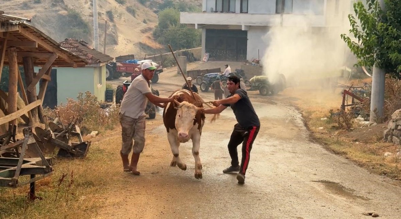 Sakaryadaki orman yangınına müdahale sürüyor: Bir mahalle tahliye ediliyor