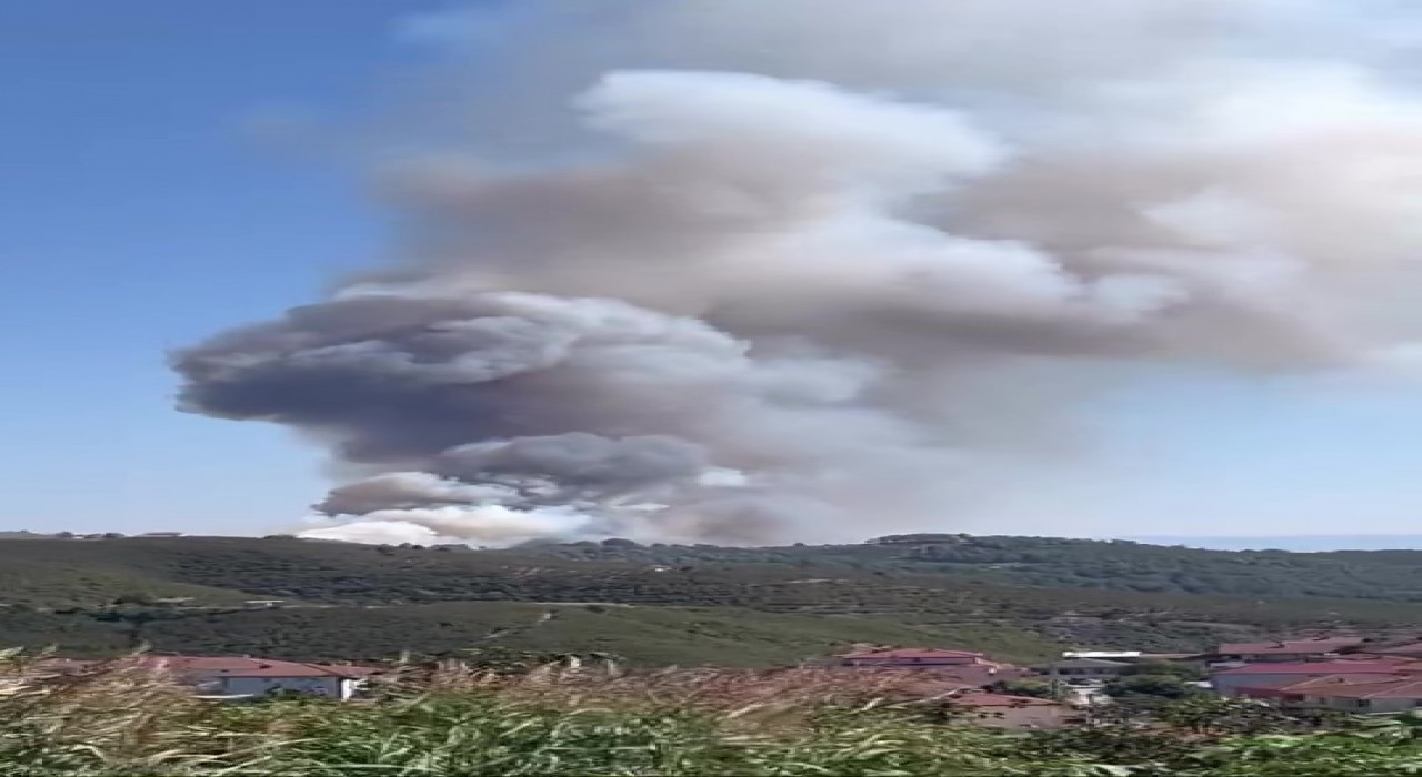 Sakaryanın Hendek ilçesinde de yangın çıktı