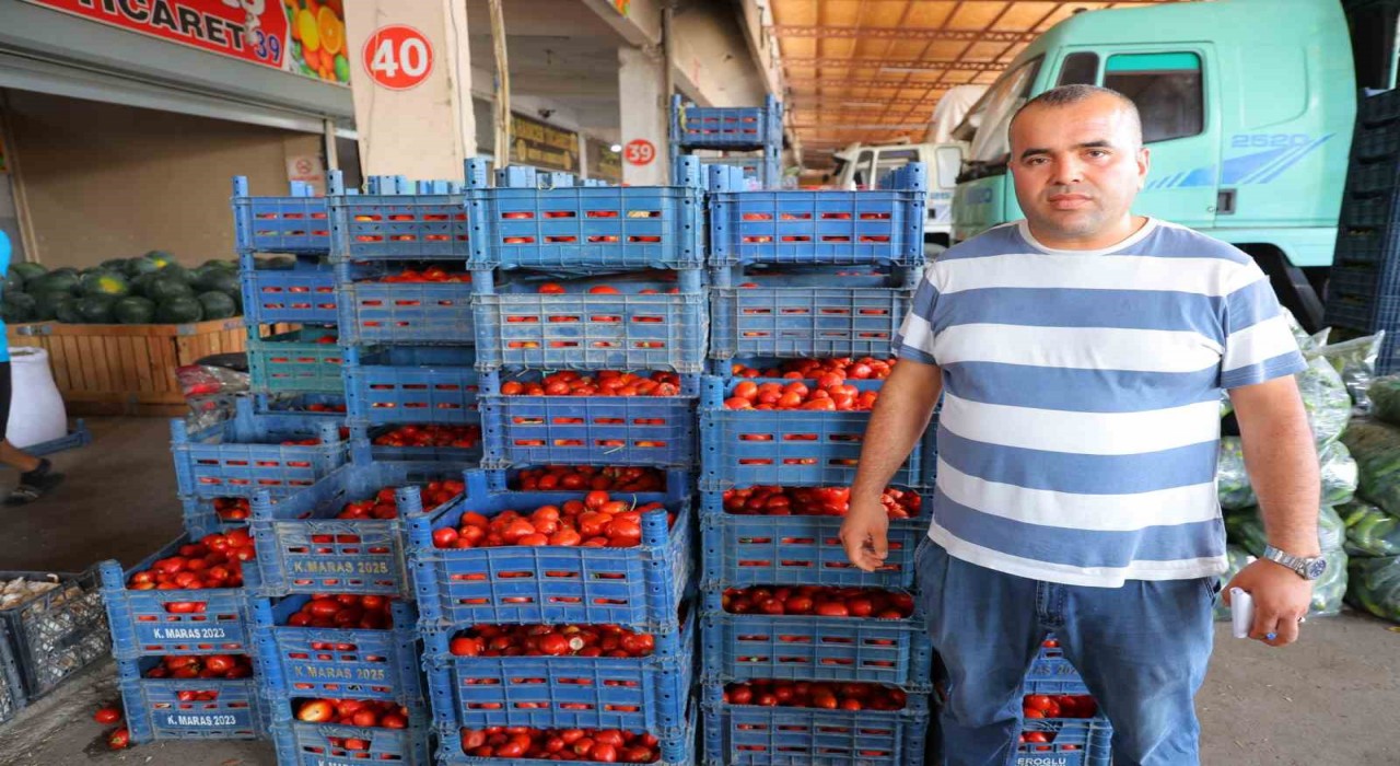 Salça dönemi başlamayınca domatesin fiyatı 3 TLye kadar düştü