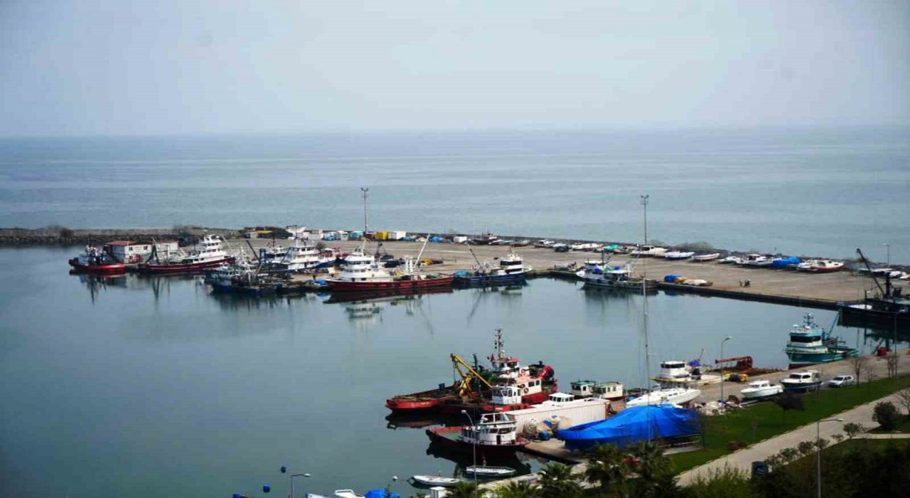 Samsunda 2025 yılında 65 bin 658 ton balık üretimi planlanıyor