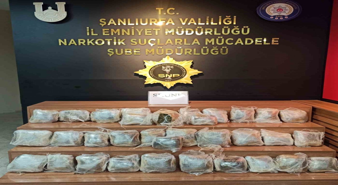 Şanlıurfada 24 kilogram skunk ele geçirildi: 2 gözaltı