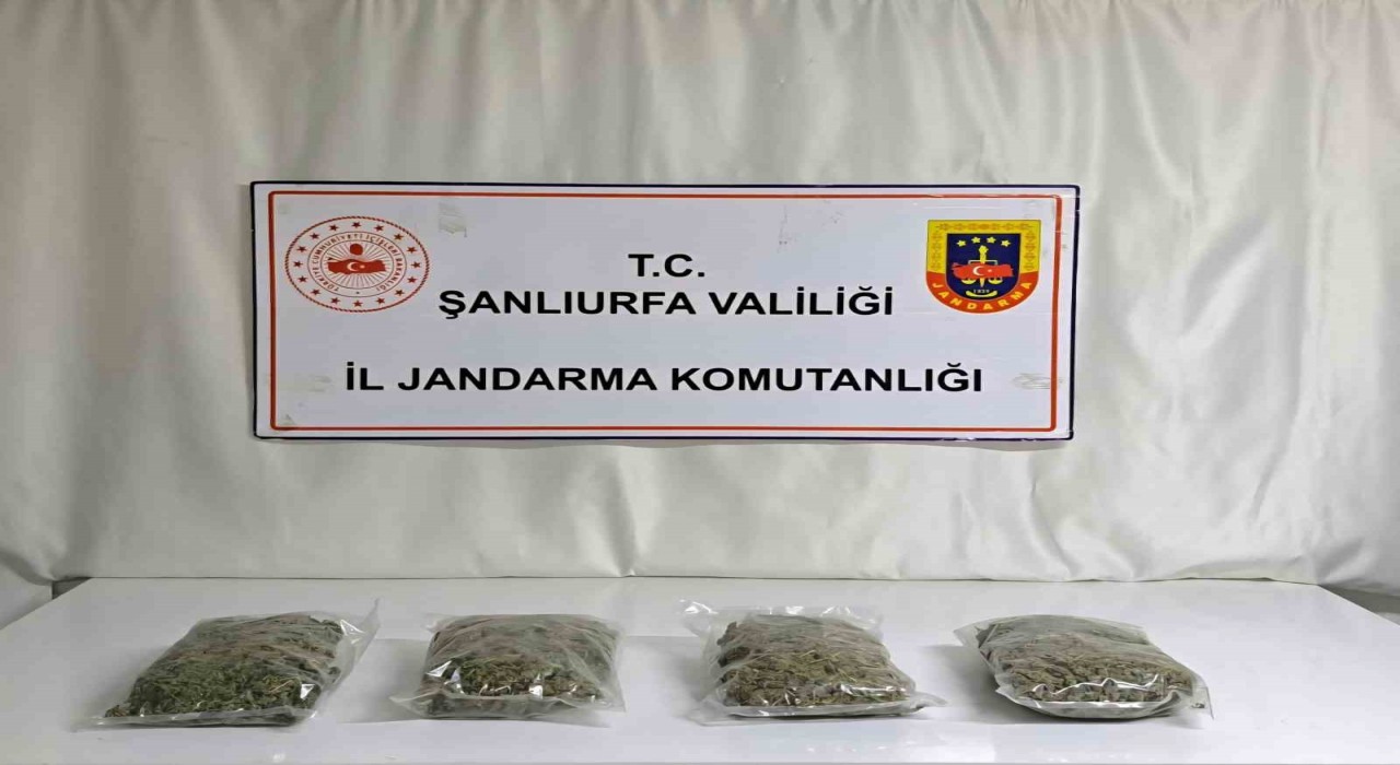 Şanlıurfada 6 kilo 260 gram uyuşturucu ele geçirildi