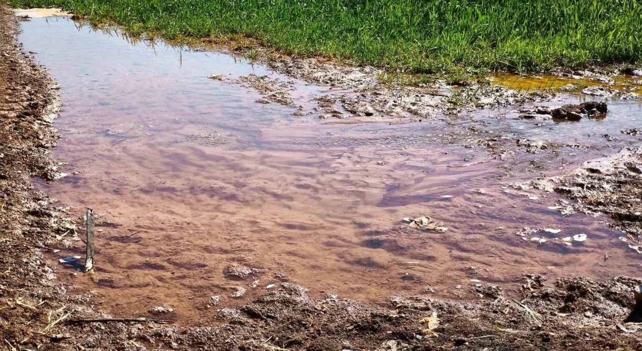 Şanlıurfada tarımsal su krizi derinleşiyor