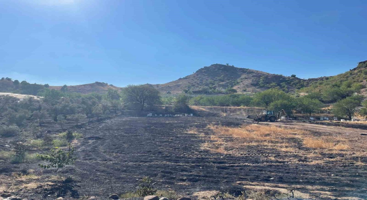 Sarıcakayadaki ot yangını ormana sıçramadan söndürüldü