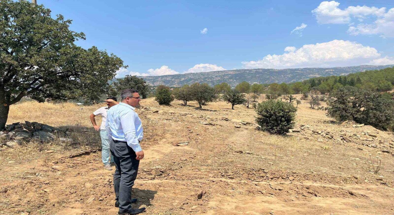 Sarıgöle sokak hayvanları için doğal yaşam alanı yapılacak