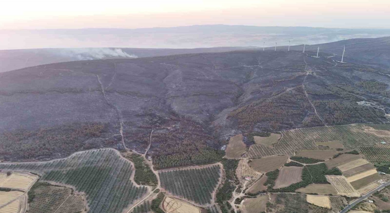 Şarköydeki orman yangını kontrol altına alındı