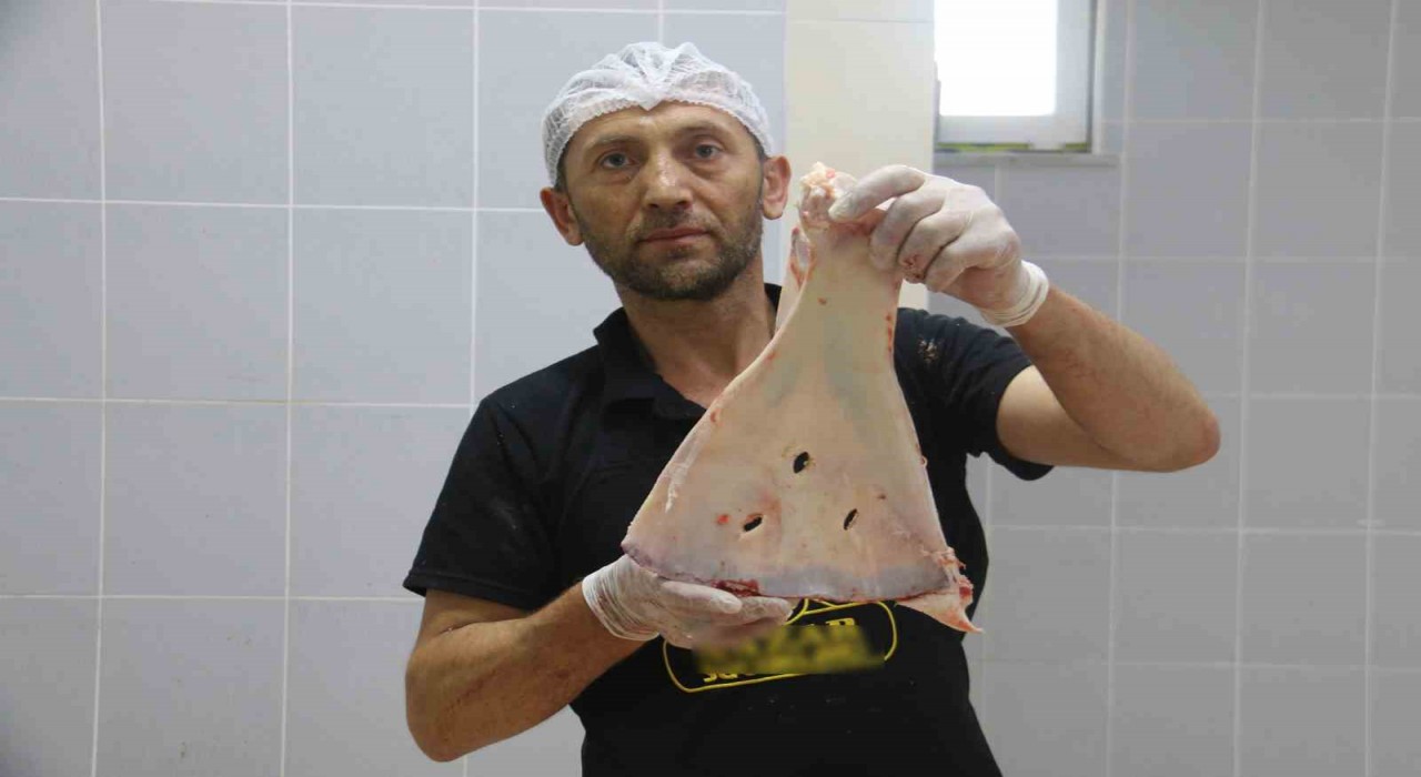 Selçukludan kalan gelenek asırlardır sürdürülüyor, büyülerden korunmak için kürek kemikleri kırılıyor