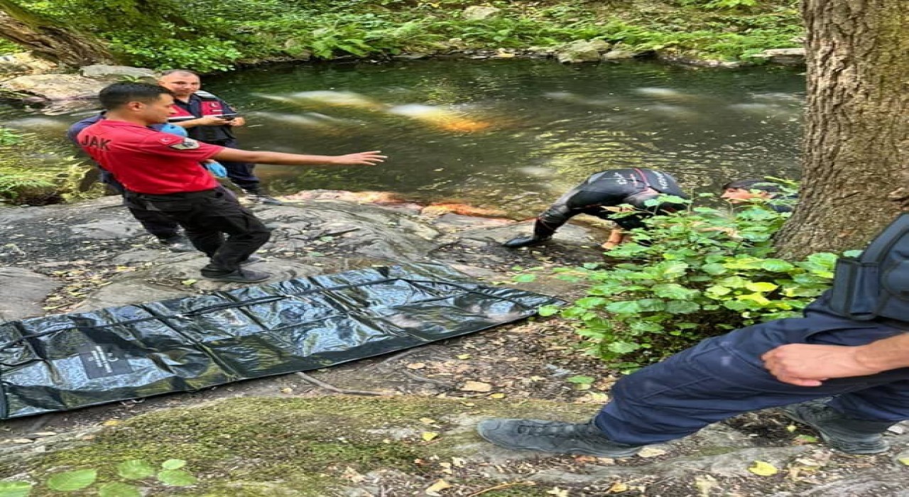 Serinlemek için girdiği şelalede boğuldu