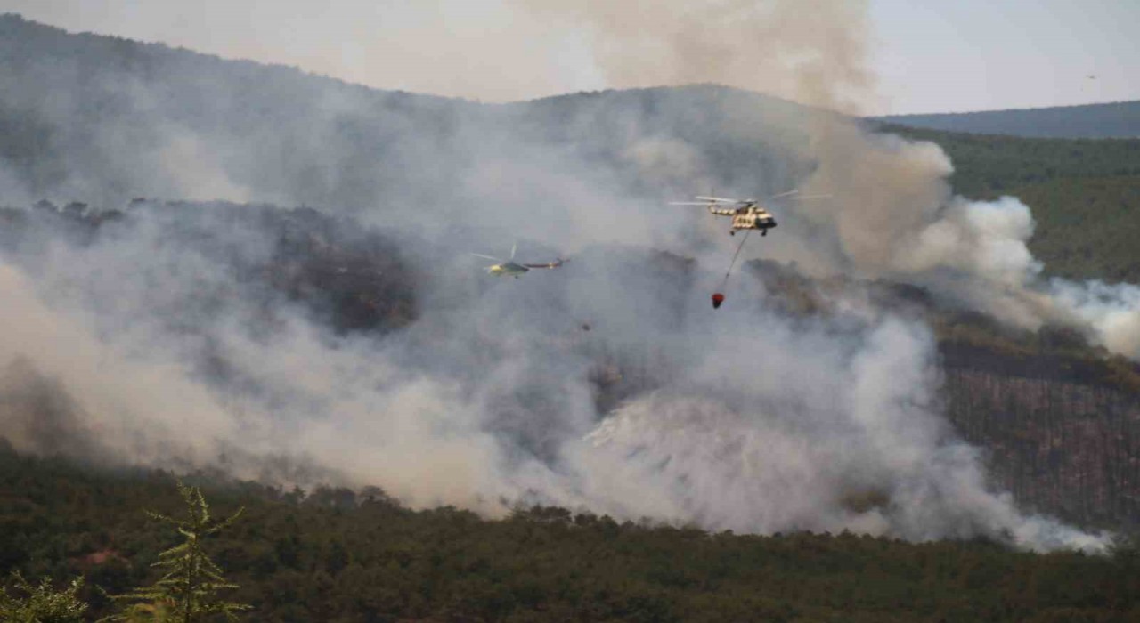 Seyitgazide çıkan yangın büyümeye devam ediyor