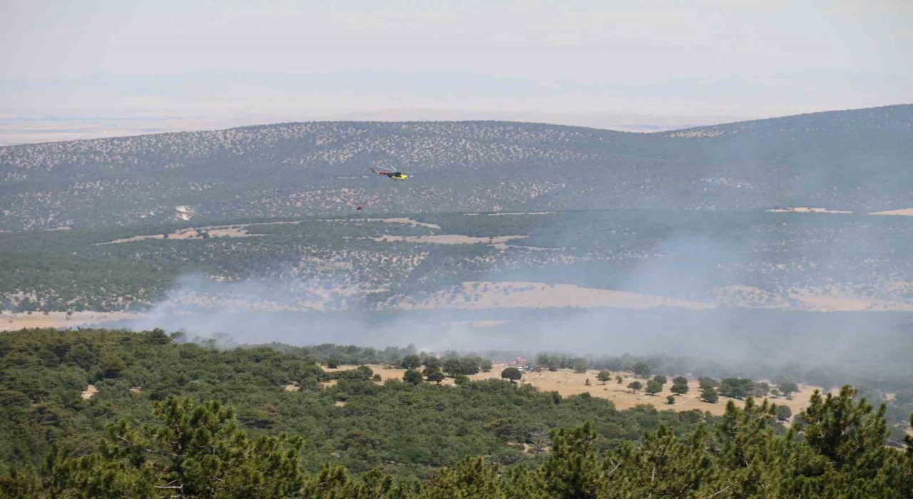 Seyitgazide orman yangınıyla ilgili açıklama