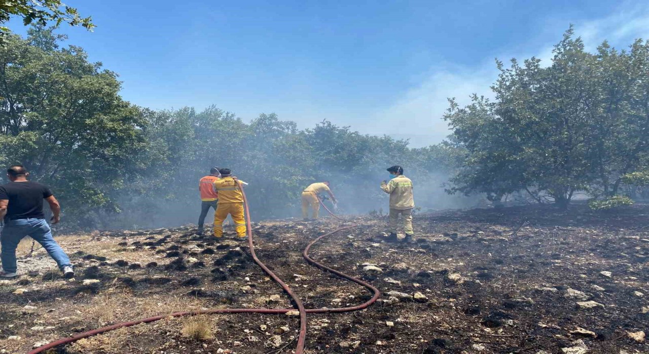 Seyitgazideki orman yangını kontrol altına alındı