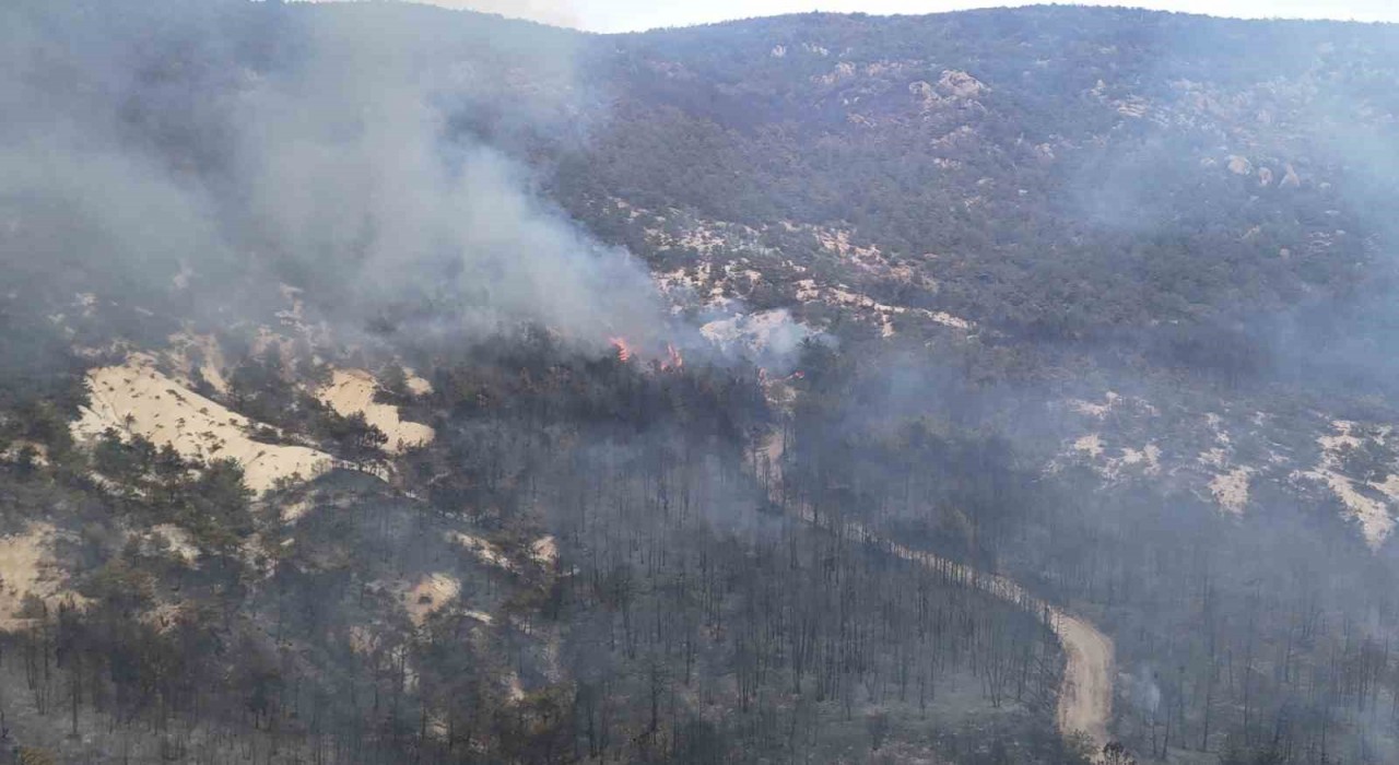 Seyitgaziden Sarıcaovaya sıçrayan yangın kısmen kontrol altında