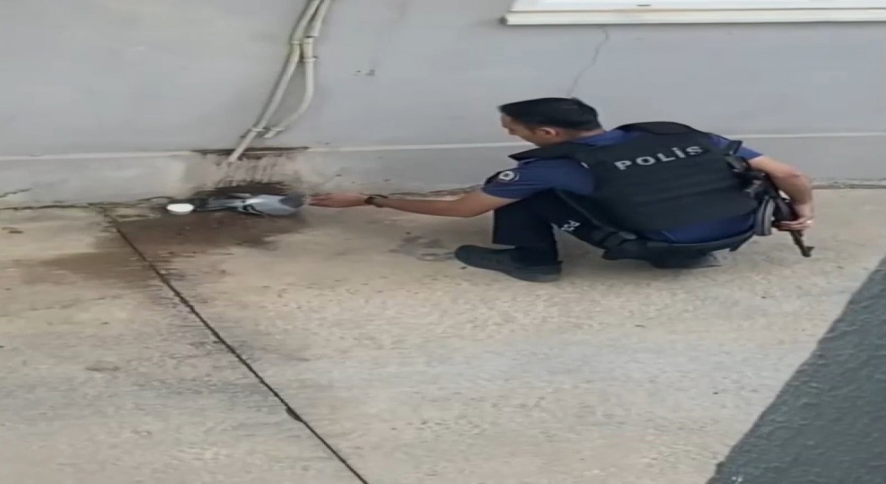 Sıcaktan bunalan güvercine polisten yardım eli