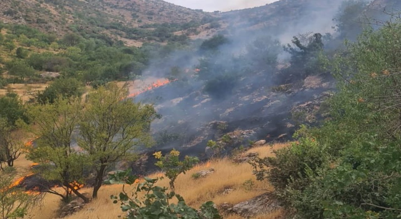 Siirtte çıkan yangında 2 dönüm arazi zarar gördü
