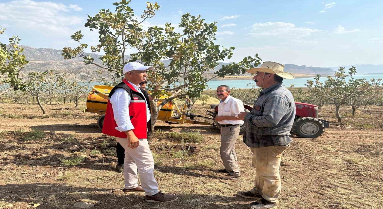 Siirtte fıstık bahçelerinde aşırı sıcaklık alarmı