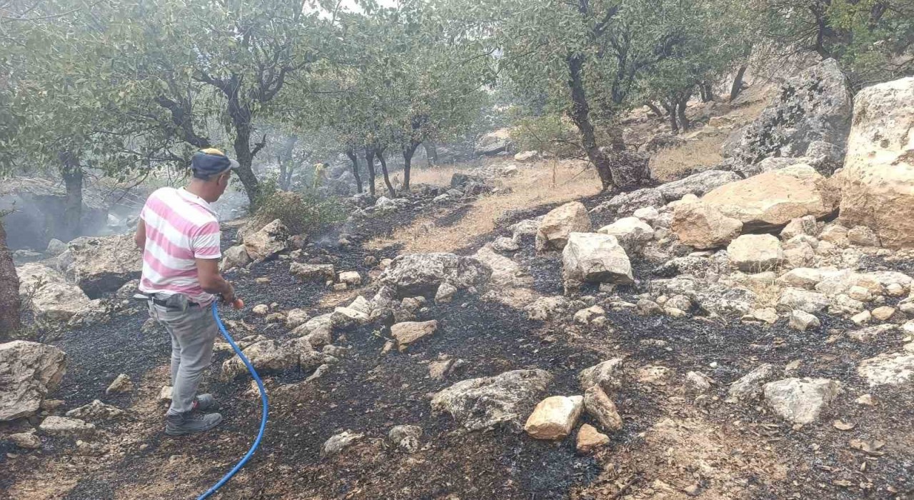 Siirtte orman yangını büyümeden söndürüldü