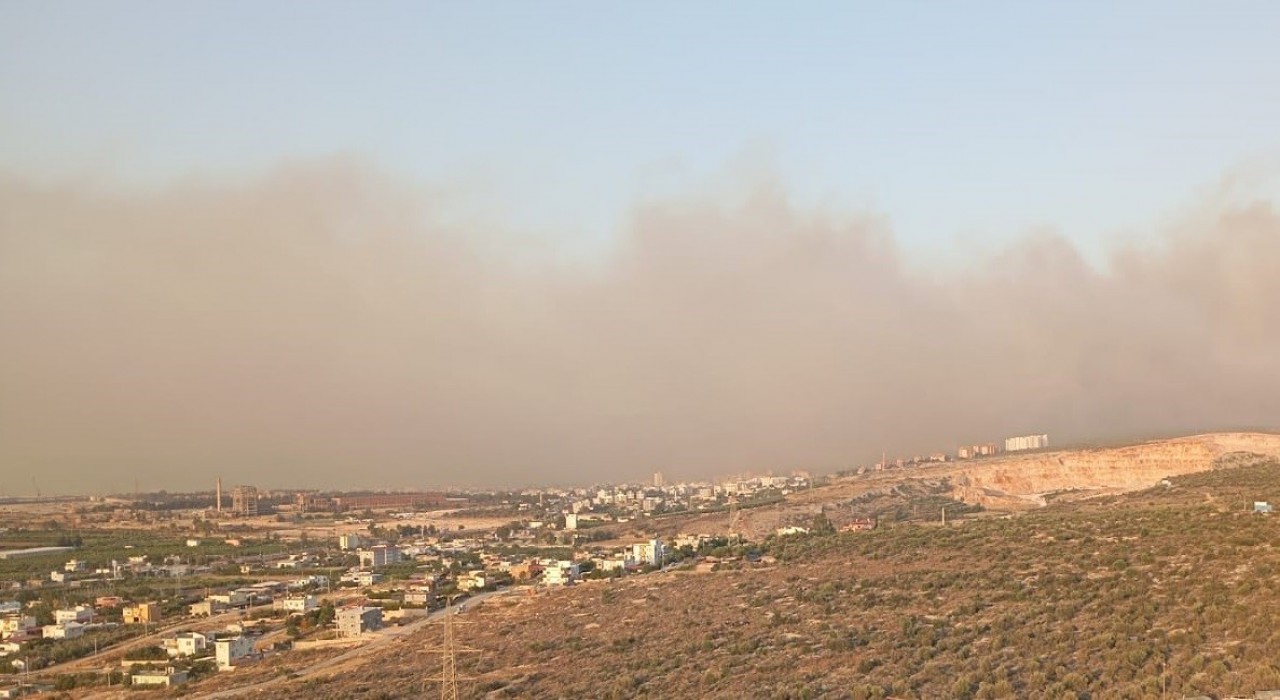 Silifkede orman yangını