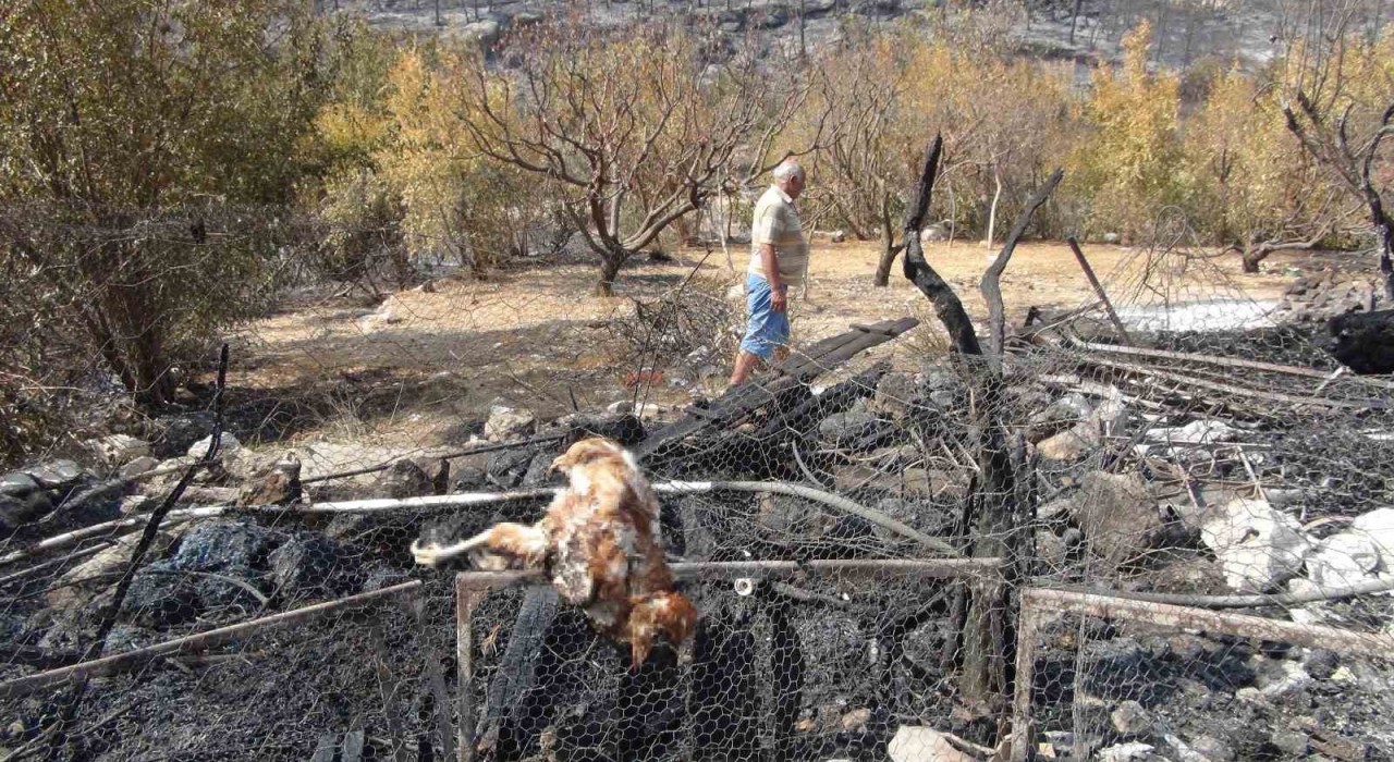 Silifkedeki orman yangını büyük ölçüde kontrol altına alındı