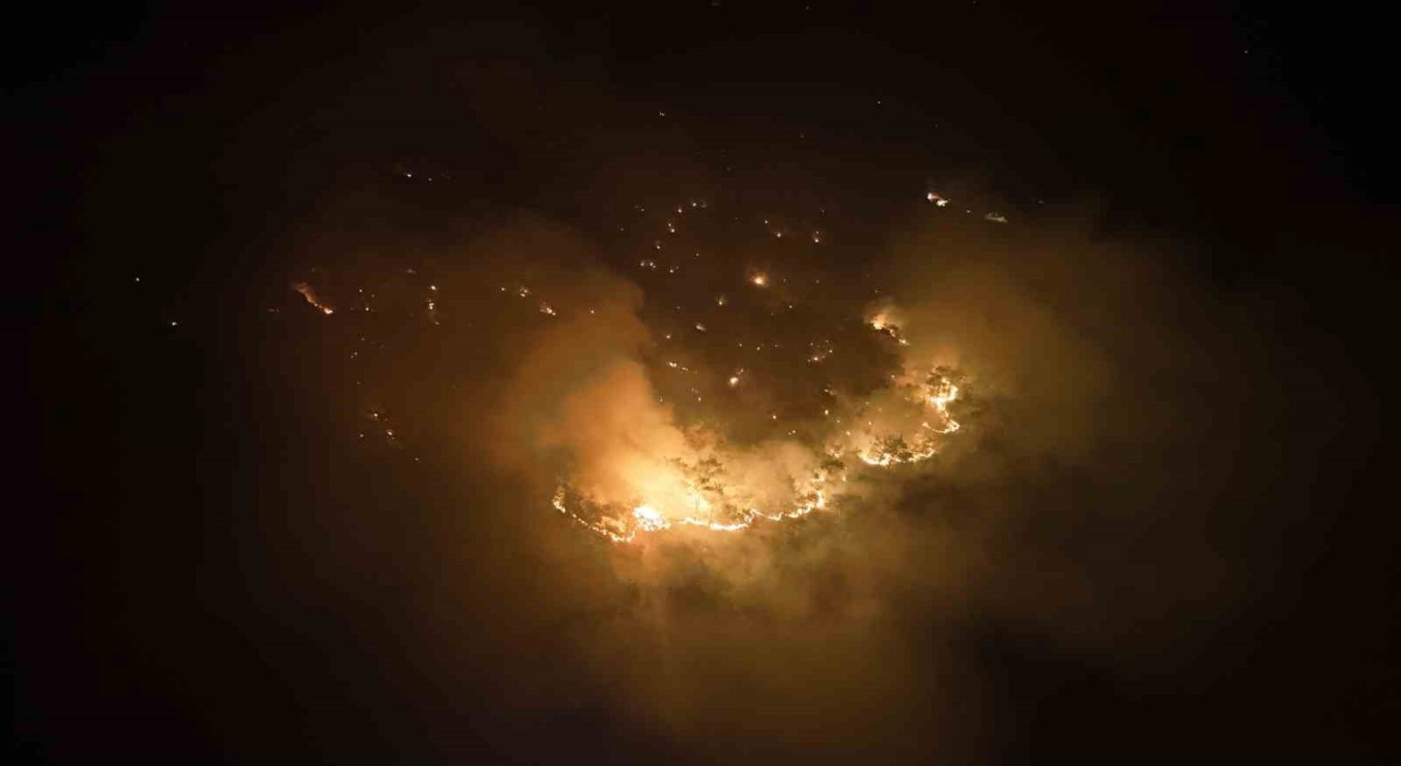 Silifkedeki orman yangını söndürüldü, hasar tespit çalışmaları başladı