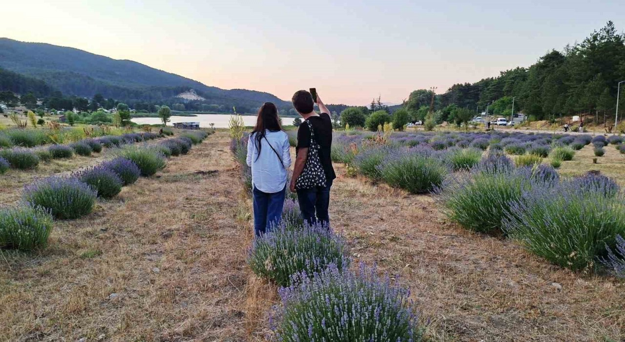 Simav Gölcük Yaylasındaki lavanta bahçesi doğal stüdyo alanı haline geldi