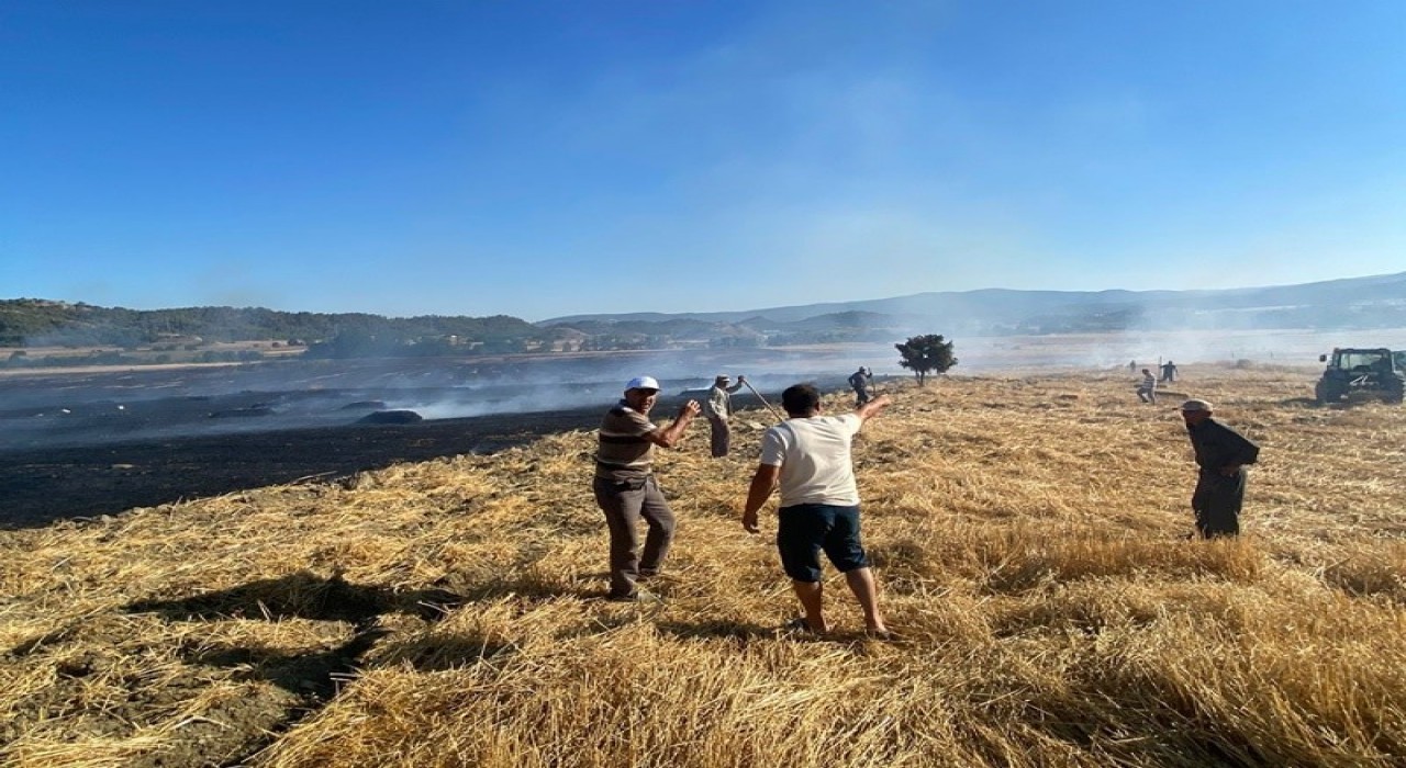 Sinopta anız yangını: 60 balya saman kül oldu