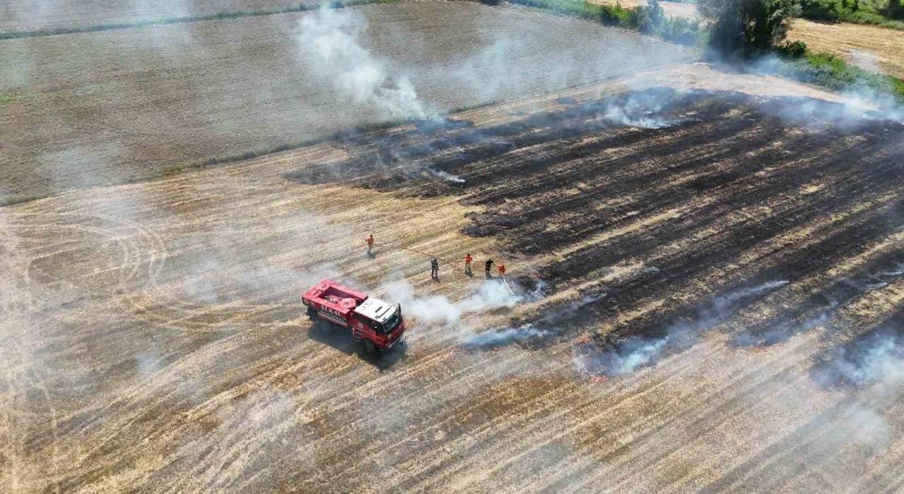 Sinopta anız yangını paniği