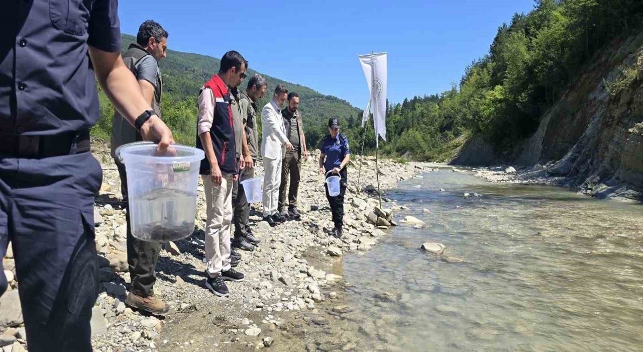 Sinopta derelere kırmızı benekli alabalık takviyesi