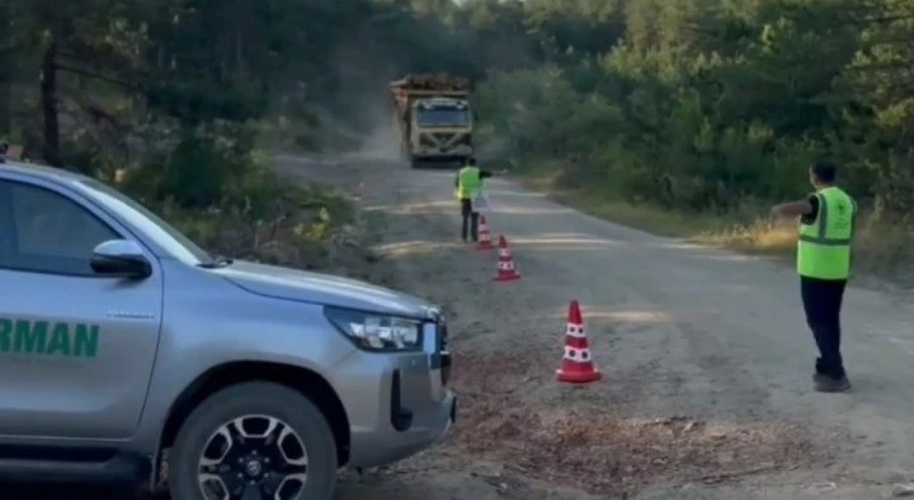 Sinopta orman kaçakçılığına karşı sıkı denetim