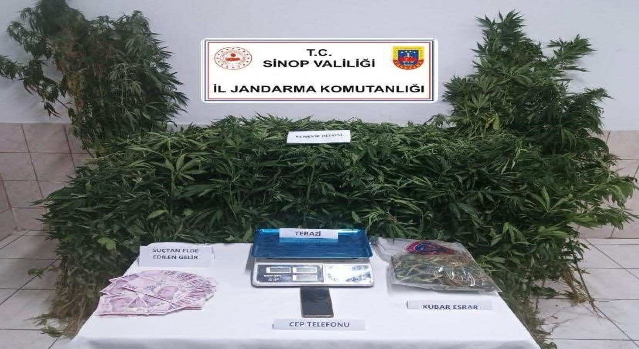 Sinopta uyuşturucu operasyonu: 1 tutuklama