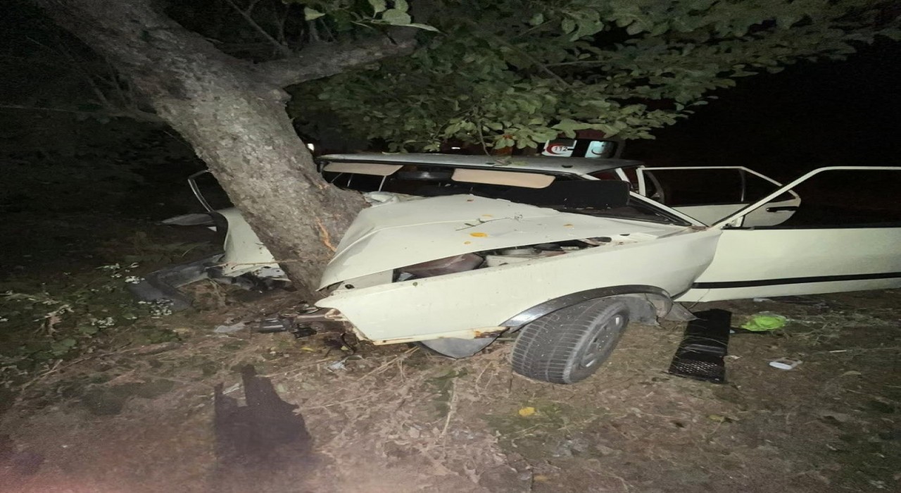 Sinopta virajı alamayan otomobil ağaca çarptı: 2 yaralı