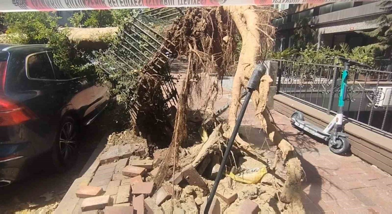 Şişlide park halindeki araçların üzerine ağaç devrildi
