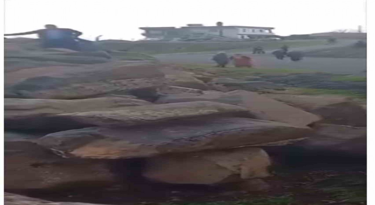 Siverekte 1 kişinin öldüğü aile kavgasının görüntüleri ortaya çıktı