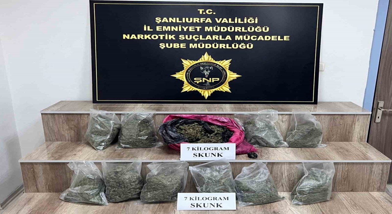 Siverekte 7 kilo skunk ele geçirildi, 3 gözaltı