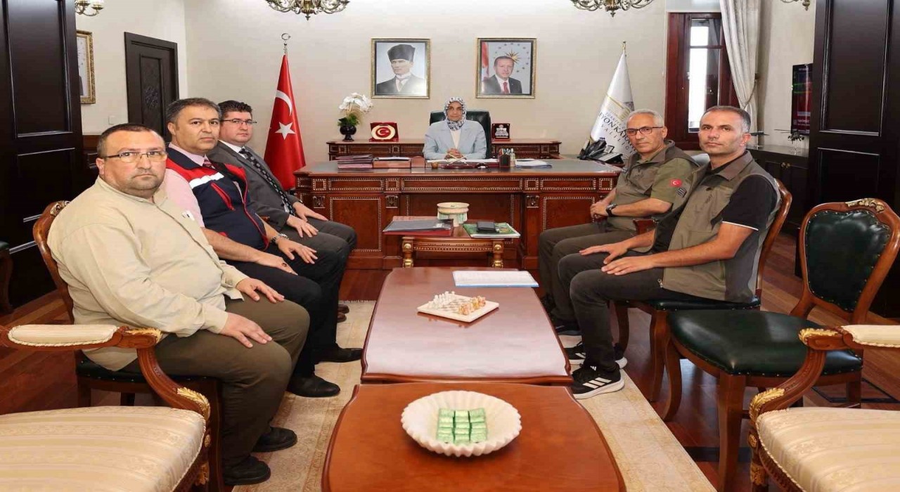 Sokak hayvanlarının korunması için bir araya gelindi