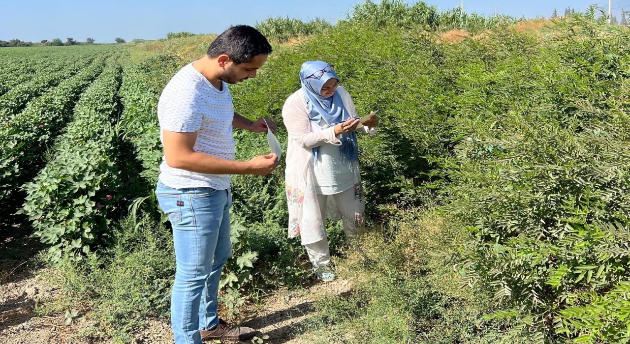 Sökede ekipler sahaya indi, tuzaklar kontrol edildi