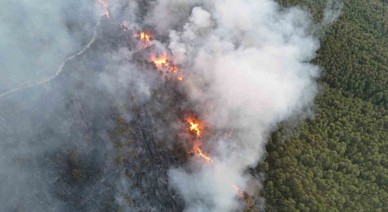 Söndürülen yangın yeniden alevlendi, 95 ev tahliye edildi