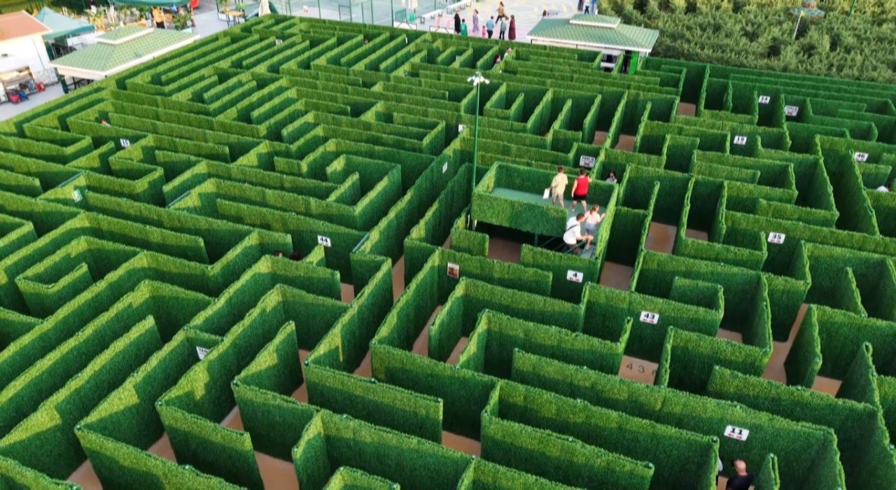 Soruları bilemeyen labirentten çıkamıyor