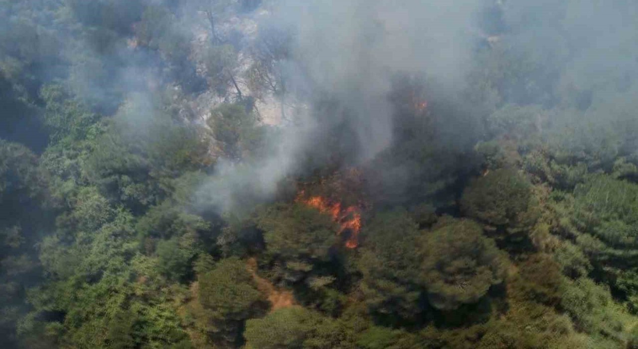 Sultangazi Kent Ormanında yangın: İtfaiye ekipleri alevlere müdahale ediyor