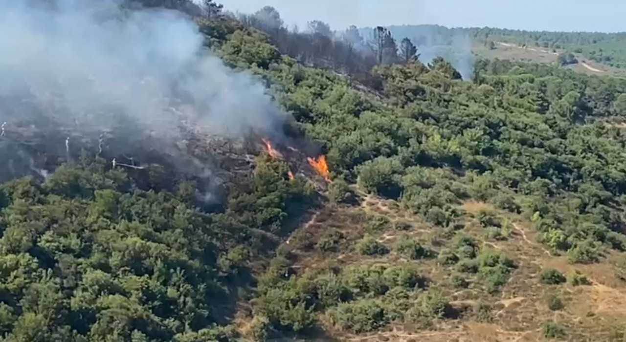 Sultangazi Kent Ormanından alevler yükseldi
