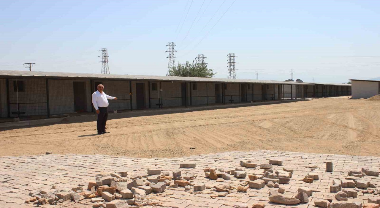 Sultanhisarda hayvan barınağı projesinde geri sayım başladı