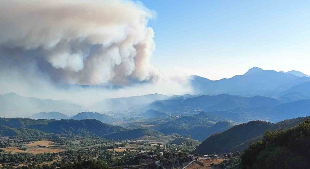 Suriyede devam eden orman yangını Türkiye sınırına ulaştı