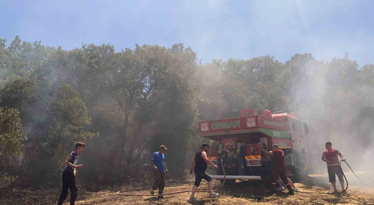 Susurlukta arazi yangını kontrol altına alındı