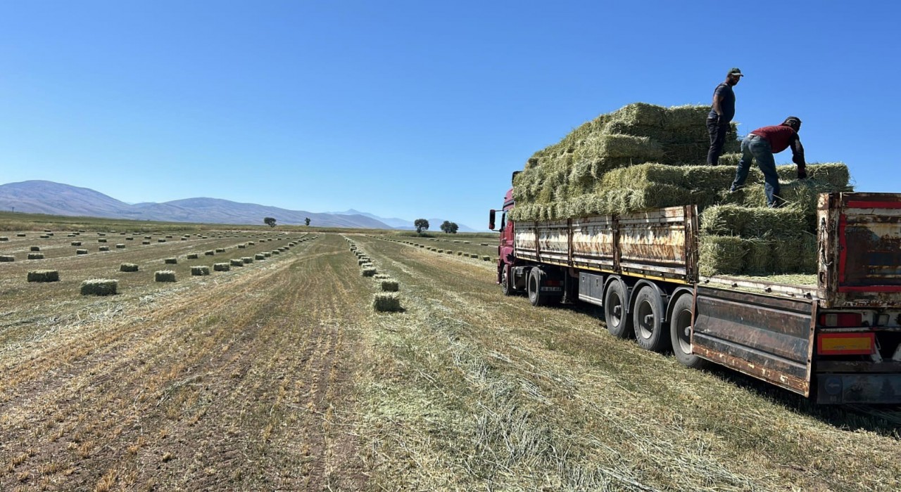 Talas Belediyesinden yem desteği