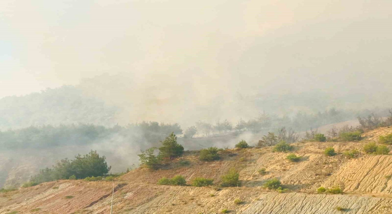 Tarihi İpek Yolu yanıyor