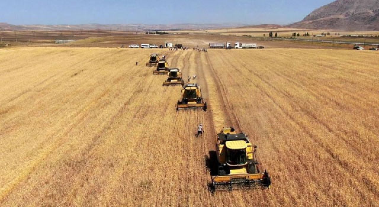 Tarım Girdi Fiyat Endeksi Mayıs 2025’te Yıllık %31,80 Arttı