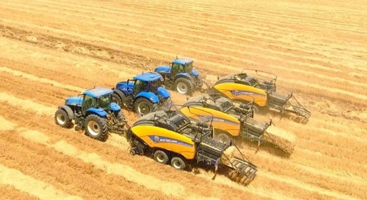 Tarım-ÜFE'de Haziran 2025 Rekoru: Yıllık Artış %50,31