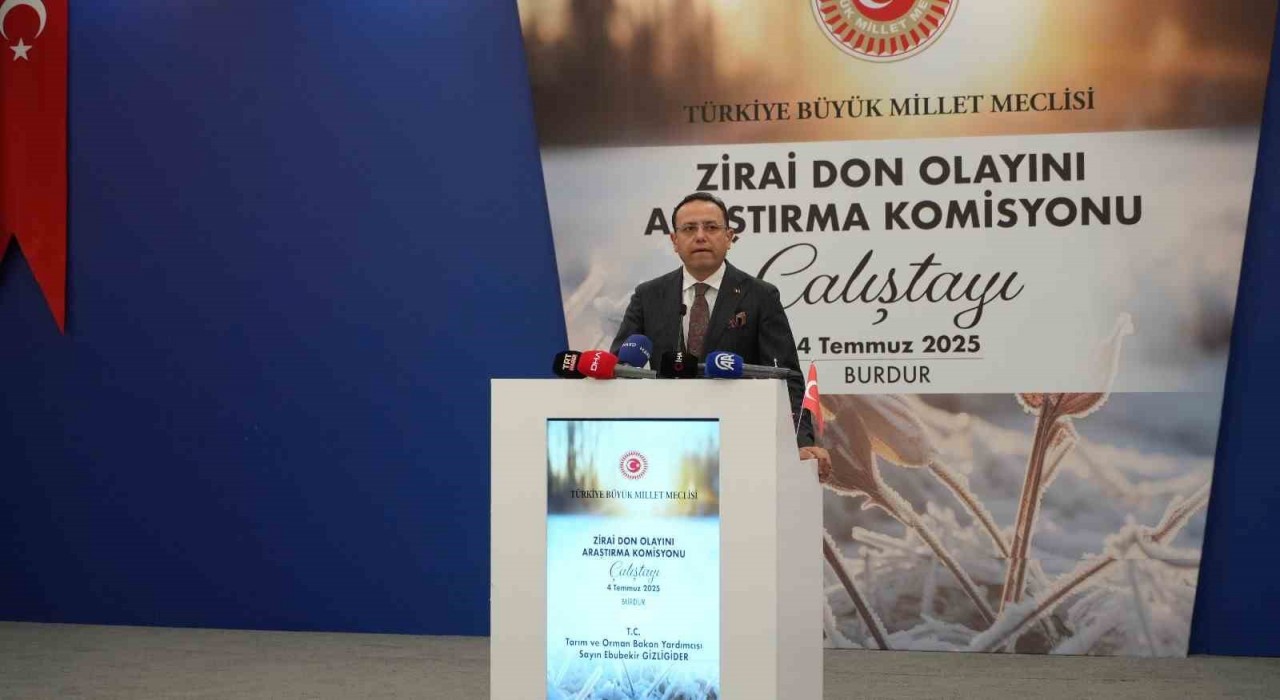 Tarım ve Orman Bakan Yardımcısı Gizligider: Türkiyede ortaya çıkan yangınların yüzde 83ü insan kaynaklı