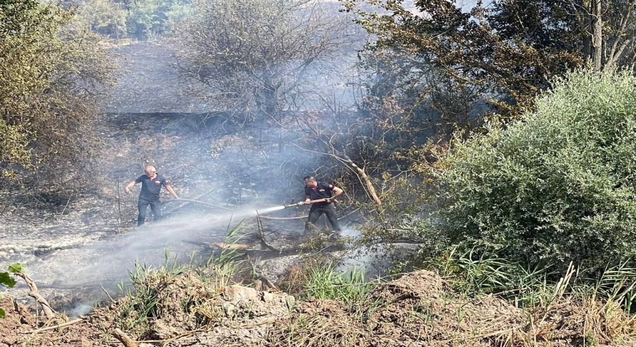 Taşınburnu mevkiindeki orman yangında soğutma çalışmaları sona erdi